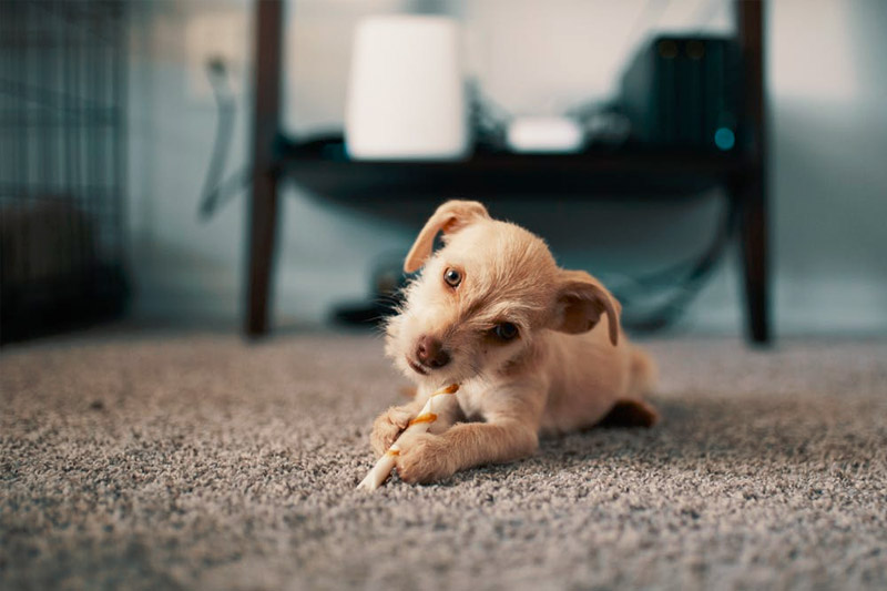 Details about carpet floors